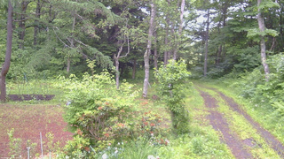 長野県菅平高原 ゆたか山荘 坂上 2026/06/25 07:00