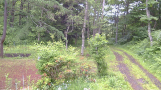 長野県菅平高原 ゆたか山荘 坂上 2026/06/25 08:15