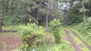長野県菅平高原 ゆたか山荘 坂上 2026/06/25 08:30