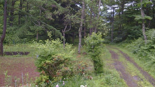 長野県菅平高原 ゆたか山荘 坂上 2026/06/25 08:45