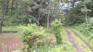 長野県菅平高原 ゆたか山荘 坂上 2026/06/25 09:00