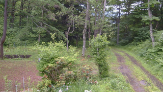 長野県菅平高原 ゆたか山荘 坂上 2026/06/25 09:15