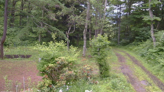 長野県菅平高原 ゆたか山荘 坂上 2026/06/25 09:30