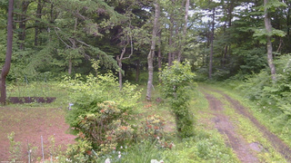 長野県菅平高原 ゆたか山荘 坂上 2026/06/25 09:45