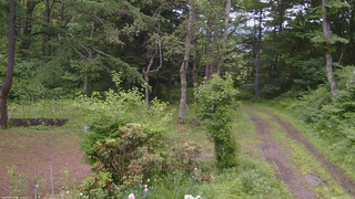 長野県菅平高原 ゆたか山荘 坂上 2026/06/25 10:00