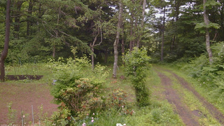 長野県菅平高原 ゆたか山荘 坂上 2026/06/25 11:15