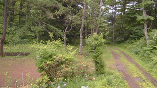 長野県菅平高原 ゆたか山荘 坂上 2026/06/25 12:15