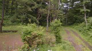 長野県菅平高原 ゆたか山荘 坂上 2026/06/25 12:30