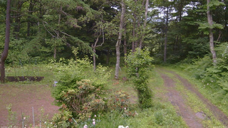 長野県菅平高原 ゆたか山荘 坂上 2026/06/25 13:45