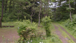 長野県菅平高原 ゆたか山荘 坂上 2026/06/25 14:15