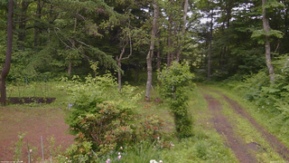 長野県菅平高原 ゆたか山荘 坂上 2026/06/25 15:15