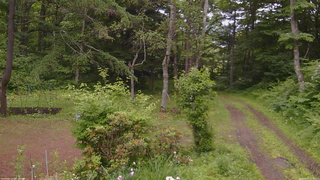 長野県菅平高原 ゆたか山荘 坂上 2026/06/25 15:30