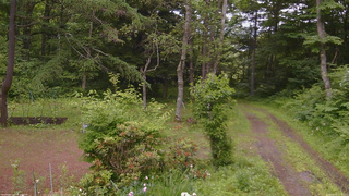 長野県菅平高原 ゆたか山荘 坂上 2026/06/25 15:45