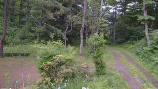 長野県菅平高原 ゆたか山荘 坂上 2026/06/25 18:45