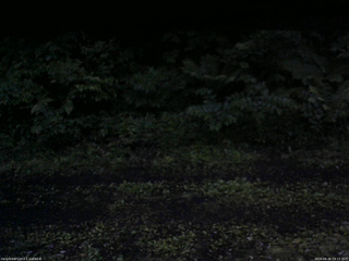 長野県菅平高原 ゆたか山荘 東側(坂下) 2026/06/26 19:15