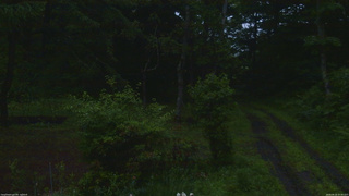 長野県菅平高原 ゆたか山荘 坂上 2026/06/26 05:00