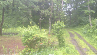 長野県菅平高原 ゆたか山荘 坂上 2026/06/26 06:30