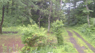 長野県菅平高原 ゆたか山荘 坂上 2026/06/26 08:30
