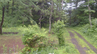 長野県菅平高原 ゆたか山荘 坂上 2026/06/26 08:45