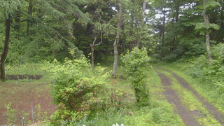 長野県菅平高原 ゆたか山荘 坂上 2026/06/26 09:00