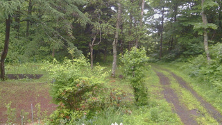 長野県菅平高原 ゆたか山荘 坂上 2026/06/26 09:15