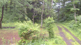 長野県菅平高原 ゆたか山荘 坂上 2026/06/26 09:30