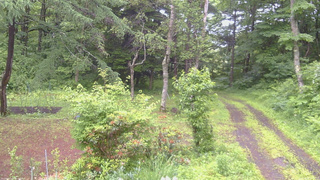 長野県菅平高原 ゆたか山荘 坂上 2026/06/26 10:15