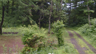 長野県菅平高原 ゆたか山荘 坂上 2026/06/26 11:00