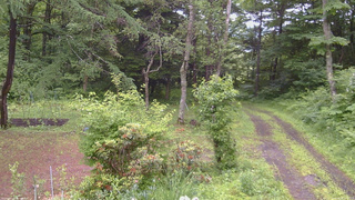長野県菅平高原 ゆたか山荘 坂上 2026/06/26 11:30