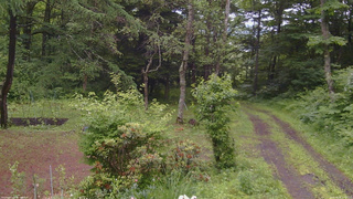 長野県菅平高原 ゆたか山荘 坂上 2026/06/26 12:00
