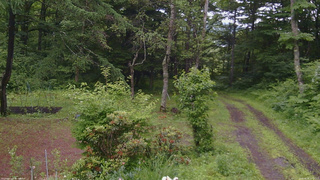 長野県菅平高原 ゆたか山荘 坂上 2026/06/26 12:15