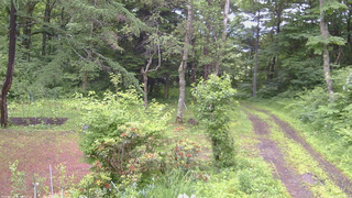 長野県菅平高原 ゆたか山荘 坂上 2026/06/26 15:00