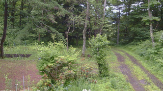 長野県菅平高原 ゆたか山荘 坂上 2026/06/26 15:30