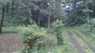 長野県菅平高原 ゆたか山荘 坂上 2026/06/26 19:00