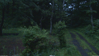長野県菅平高原 ゆたか山荘 坂上 2026/06/26 19:15
