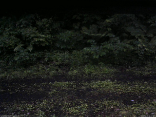 長野県菅平高原 ゆたか山荘 東側(坂下) 2026/06/27 19:15