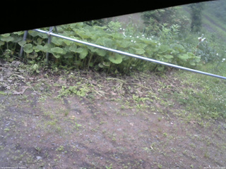 長野県菅平高原 ゆたか山荘 駐車場 2026/06/27 14:15