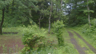 長野県菅平高原 ゆたか山荘 坂上 2026/06/27 05:00