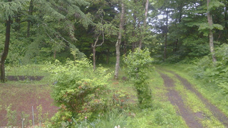 長野県菅平高原 ゆたか山荘 坂上 2026/06/27 05:15