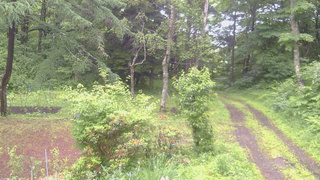 長野県菅平高原 ゆたか山荘 坂上 2026/06/27 06:00