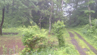 長野県菅平高原 ゆたか山荘 坂上 2026/06/27 06:30