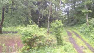 長野県菅平高原 ゆたか山荘 坂上 2026/06/27 06:45
