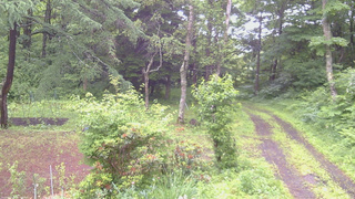 長野県菅平高原 ゆたか山荘 坂上 2026/06/27 07:15