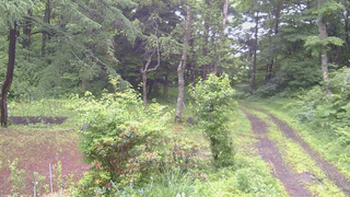 長野県菅平高原 ゆたか山荘 坂上 2026/06/27 07:30