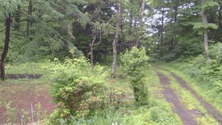 長野県菅平高原 ゆたか山荘 坂上 2026/06/27 07:45