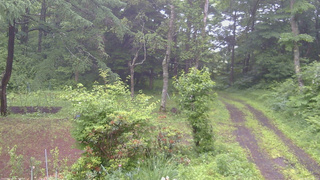 長野県菅平高原 ゆたか山荘 坂上 2026/06/27 08:00