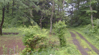 長野県菅平高原 ゆたか山荘 坂上 2026/06/27 08:15