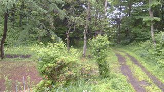 長野県菅平高原 ゆたか山荘 坂上 2026/06/27 08:30