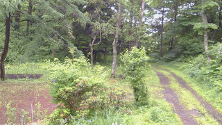 長野県菅平高原 ゆたか山荘 坂上 2026/06/27 08:45
