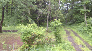 長野県菅平高原 ゆたか山荘 坂上 2026/06/27 09:00
